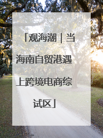 观海潮｜当海南自贸港遇上跨境电商综试区