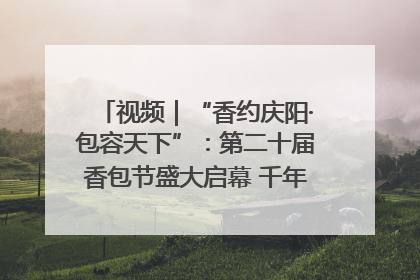 视频｜“香约庆阳·包容天下”：第二十届香包节盛大启幕 千年非遗香飘世界