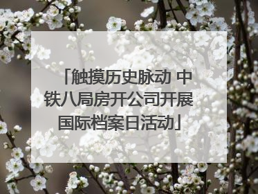 触摸历史脉动 中铁八局房开公司开展国际档案日活动