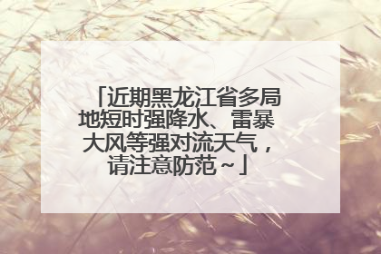 近期黑龙江省多局地短时强降水、雷暴大风等强对流天气，请注意防范～
