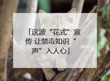 这波“花式”宣传 让禁毒知识“声”入人心