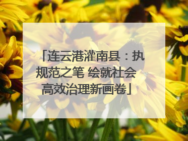 连云港灌南县：执规范之笔 绘就社会高效治理新画卷