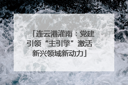 连云港灌南：党建引领“主引擎”激活新兴领域新动力