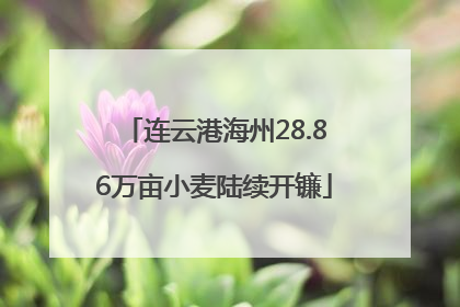 连云港海州28.86万亩小麦陆续开镰