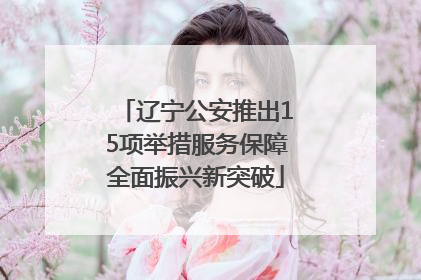 辽宁公安推出15项举措服务保障全面振兴新突破
