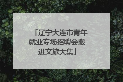 辽宁大连市青年就业专场招聘会搬进文旅大集