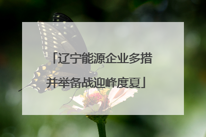 辽宁能源企业多措并举备战迎峰度夏