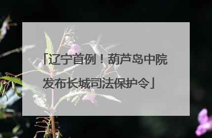 辽宁首例！葫芦岛中院发布长城司法保护令