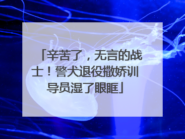 辛苦了，无言的战士！警犬退役撒娇训导员湿了眼眶