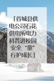 谷城县供电公司石花供电所电力科普进校园安全“童”行护成长
