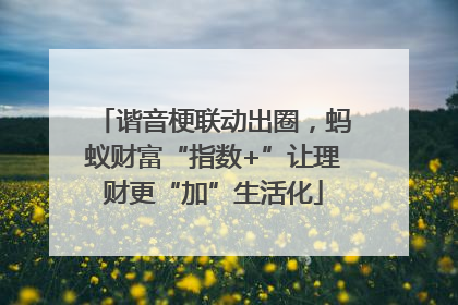 谐音梗联动出圈，蚂蚁财富“指数+”让理财更“加”生活化