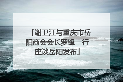 谢卫江与重庆市岳阳商会会长罗锋一行座谈岳阳发布