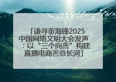 谦寻董海锋2025中国网络文明大会发声：以“三个向善”构建直播电商善意长河