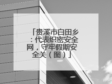 贵溪市白田乡：代表织密安全网，守牢假期安全关（图）