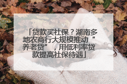 贷款买社保？湖南多地农商行大规模推动“养老贷”，用低利率贷款提高社保待遇