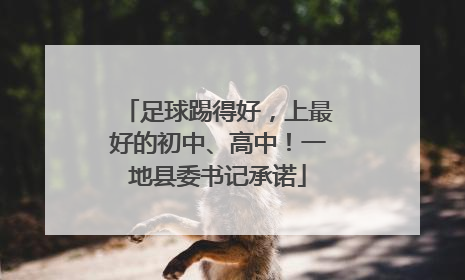 足球踢得好，上最好的初中、高中！一地县委书记承诺