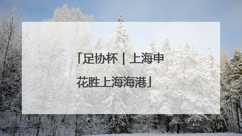 足协杯｜上海申花胜上海海港