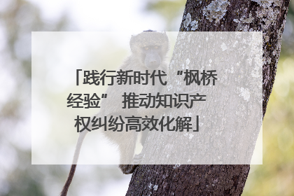 践行新时代“枫桥经验” 推动知识产权纠纷高效化解
