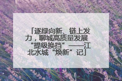 逐绿向新、链上发力，聊城高质量发展“提级换挡”——江北水城“焕新”记