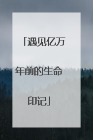 遇见亿万年前的生命印记