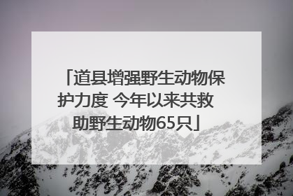 道县增强野生动物保护力度 今年以来共救助野生动物65只