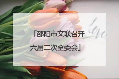 邵阳市文联召开六届二次全委会