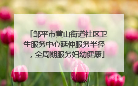 邹平市黄山街道社区卫生服务中心延伸服务半径，全周期服务妇幼健康