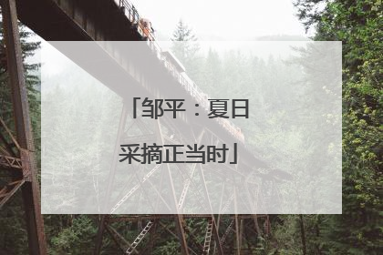 邹平：夏日采摘正当时