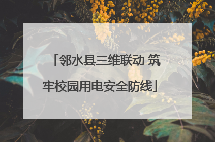 邻水县三维联动 筑牢校园用电安全防线