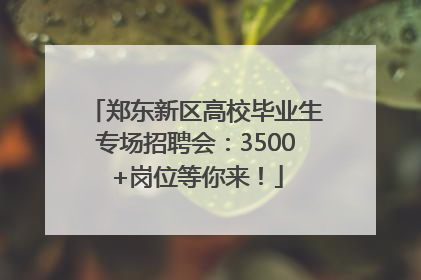郑东新区高校毕业生专场招聘会：3500+岗位等你来！