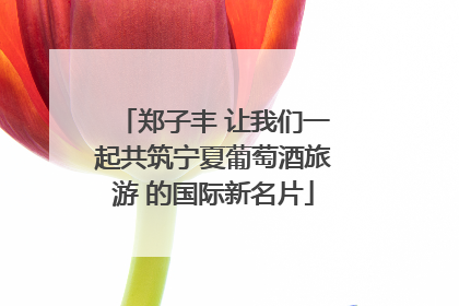 郑子丰 让我们一起共筑宁夏葡萄酒旅游 的国际新名片