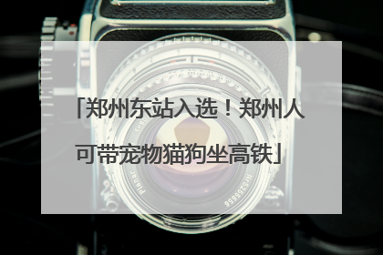 郑州东站入选！郑州人可带宠物猫狗坐高铁