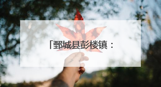 鄄城县彭楼镇：中草药种植打造致富“金钥匙”