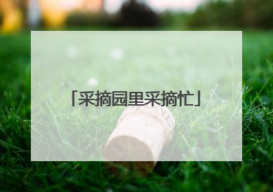 采摘园里采摘忙