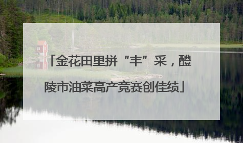 金花田里拼“丰”采，醴陵市油菜高产竞赛创佳绩