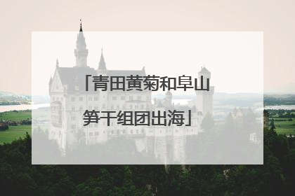 青田黄菊和阜山笋干组团出海