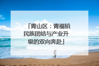 青山区：青福镇民族团结与产业升级的双向奔赴