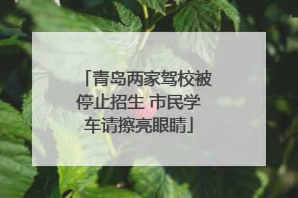 青岛两家驾校被停止招生 市民学车请擦亮眼睛