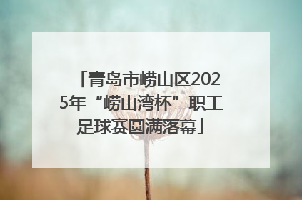 青岛市崂山区2025年“崂山湾杯”职工足球赛圆满落幕