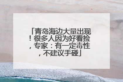 青岛海边大量出现！很多人因为好看捡，专家：有一定毒性，不建议手碰
