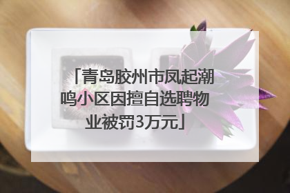 青岛胶州市凤起潮鸣小区因擅自选聘物业被罚3万元