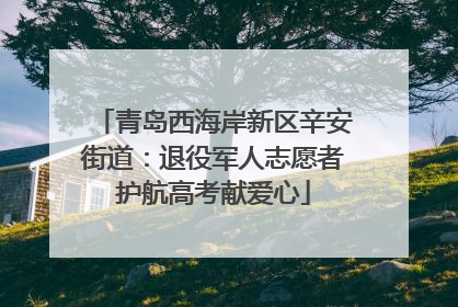 青岛西海岸新区辛安街道：退役军人志愿者护航高考献爱心