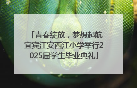 青春绽放，梦想起航 宜宾江安西江小学举行2025届学生毕业典礼