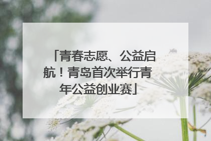 青春志愿、公益启航！青岛首次举行青年公益创业赛