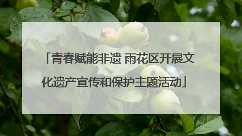 青春赋能非遗 雨花区开展文化遗产宣传和保护主题活动