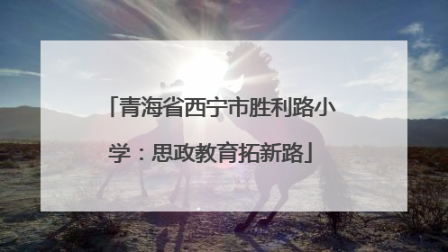 青海省西宁市胜利路小学：思政教育拓新路