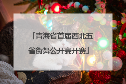 青海省首届西北五省街舞公开赛开赛