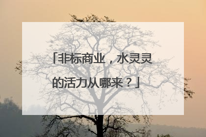 非标商业，水灵灵的活力从哪来？