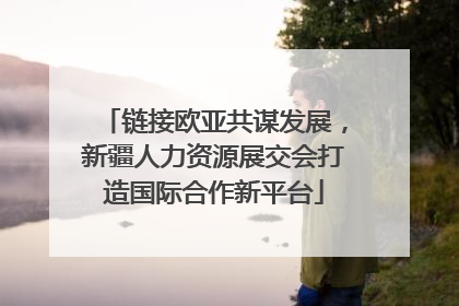 链接欧亚共谋发展，新疆人力资源展交会打造国际合作新平台