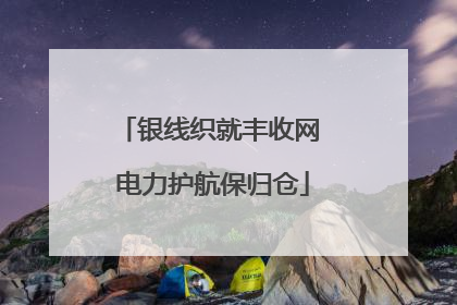 银线织就丰收网 电力护航保归仓